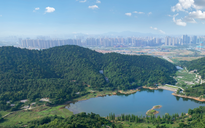 豪利777(中国)英超切尔西官方相助同伴