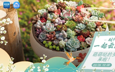 豪利777(中国)英超切尔西官方相助同伴