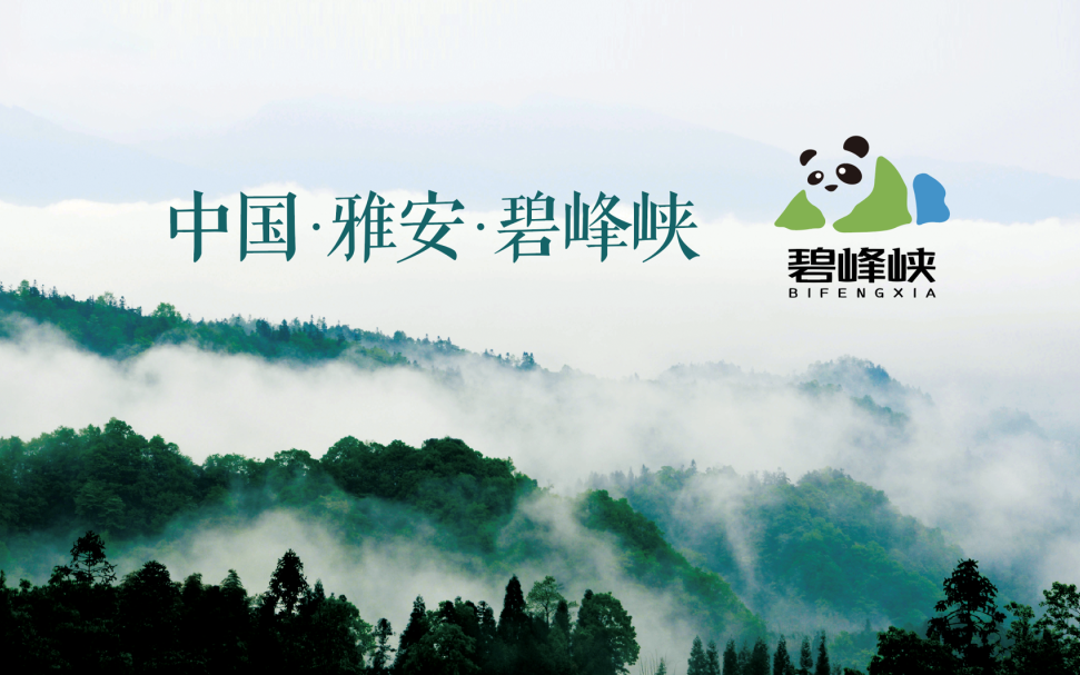 豪利777(中国)英超切尔西官方相助同伴