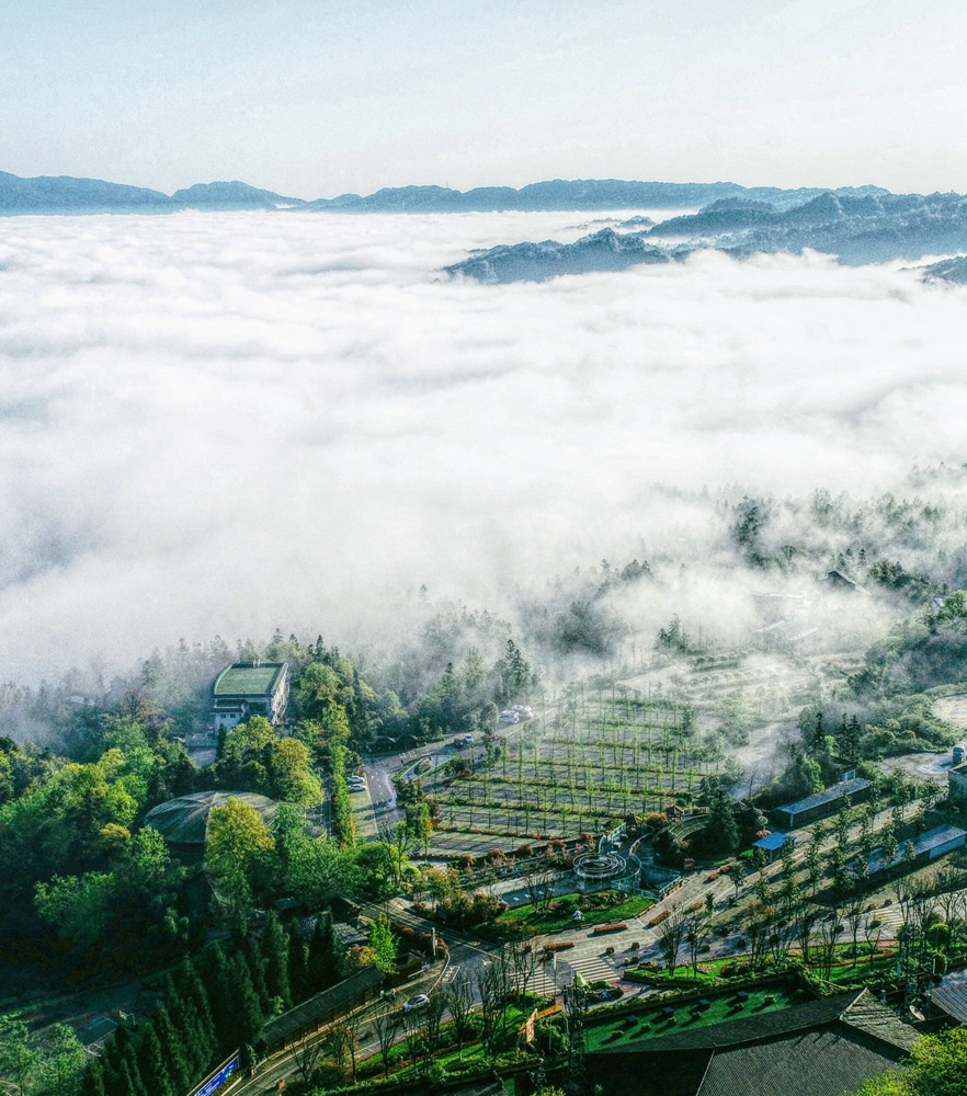 豪利777(中国)英超切尔西官方相助同伴